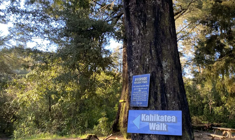 Kahikatea Trail, Tasman
