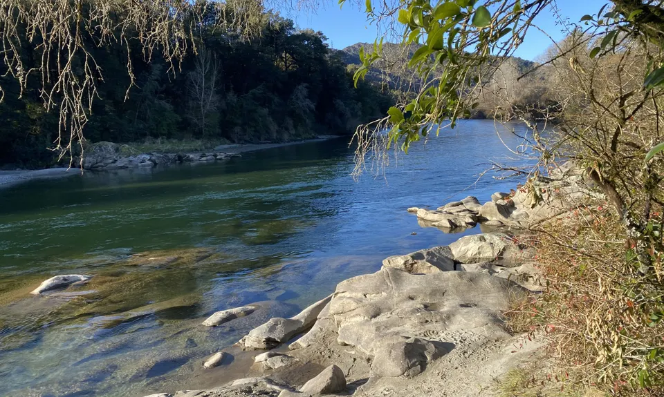 Kahikatea Trail, Tasman