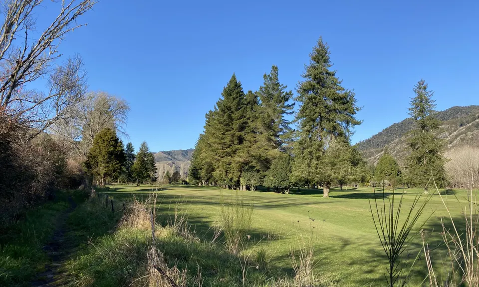 Kahikatea Trail, Tasman