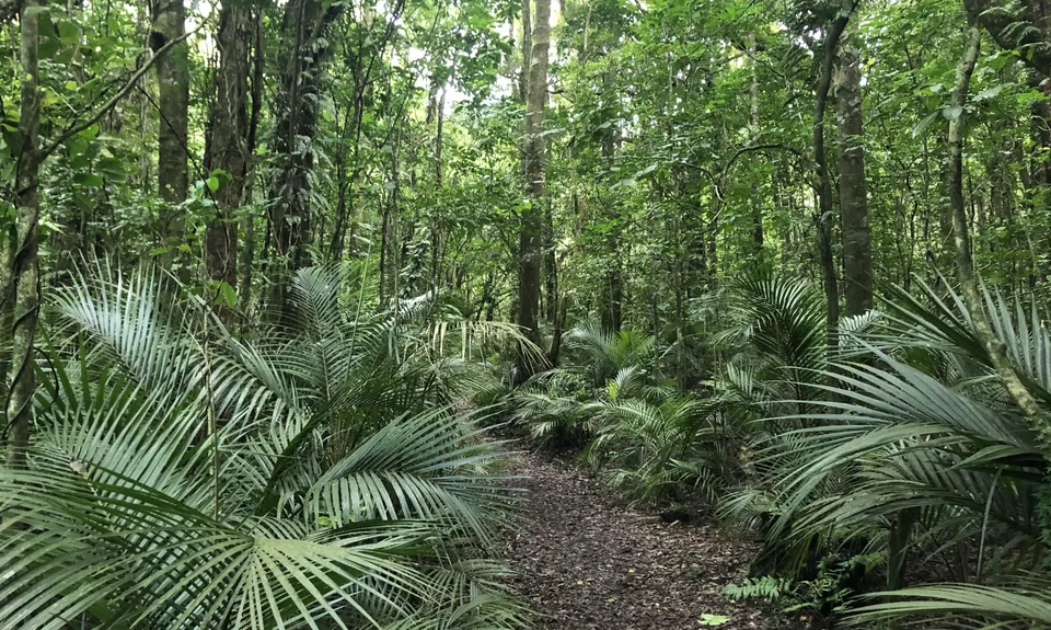 Ratapihipihi, Taranaki