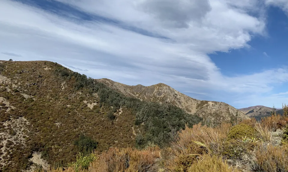 Scotts Pudding Loop, Canterbury