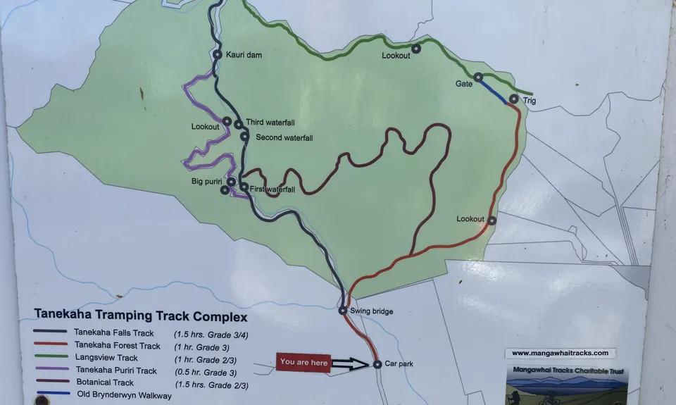 Tanekaha Trails, Northland