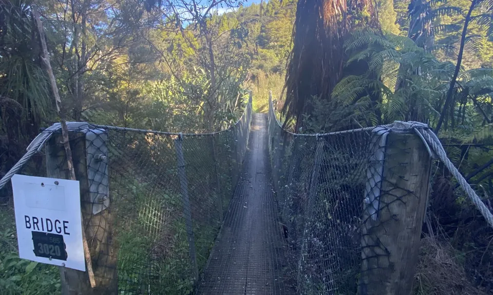 Tanekaha Trails, Northland