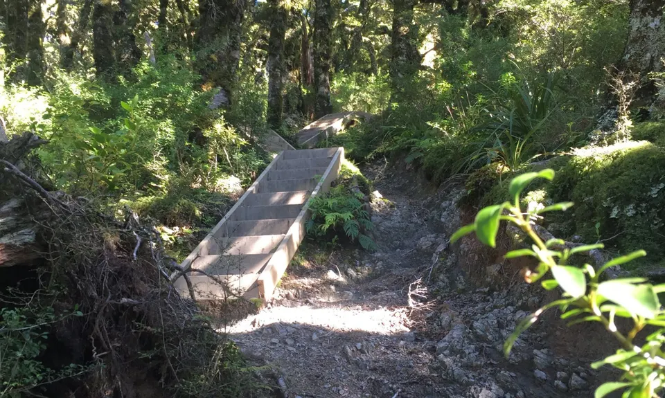 Jumbo - Holdsworth Circuit, Wellington