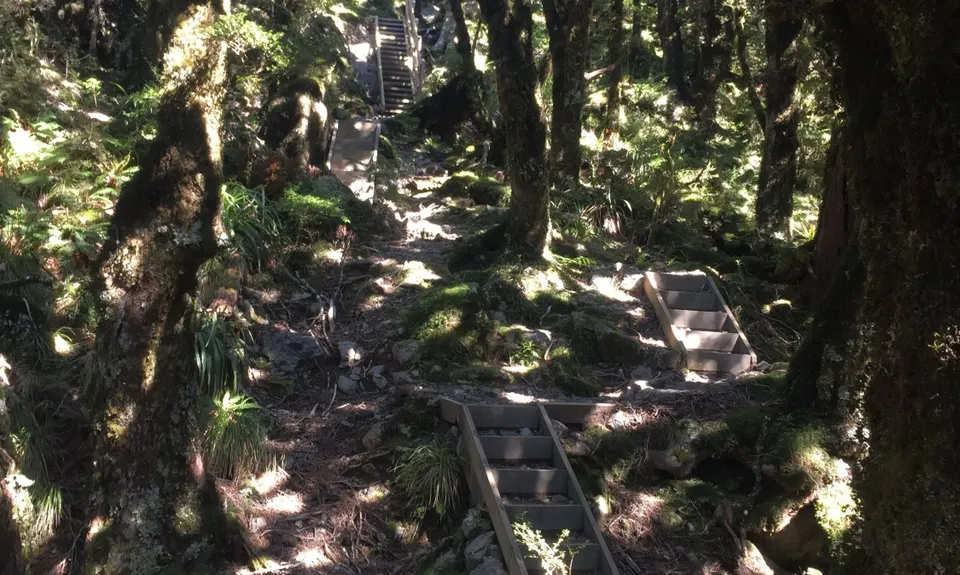 Jumbo - Holdsworth Circuit, Wellington