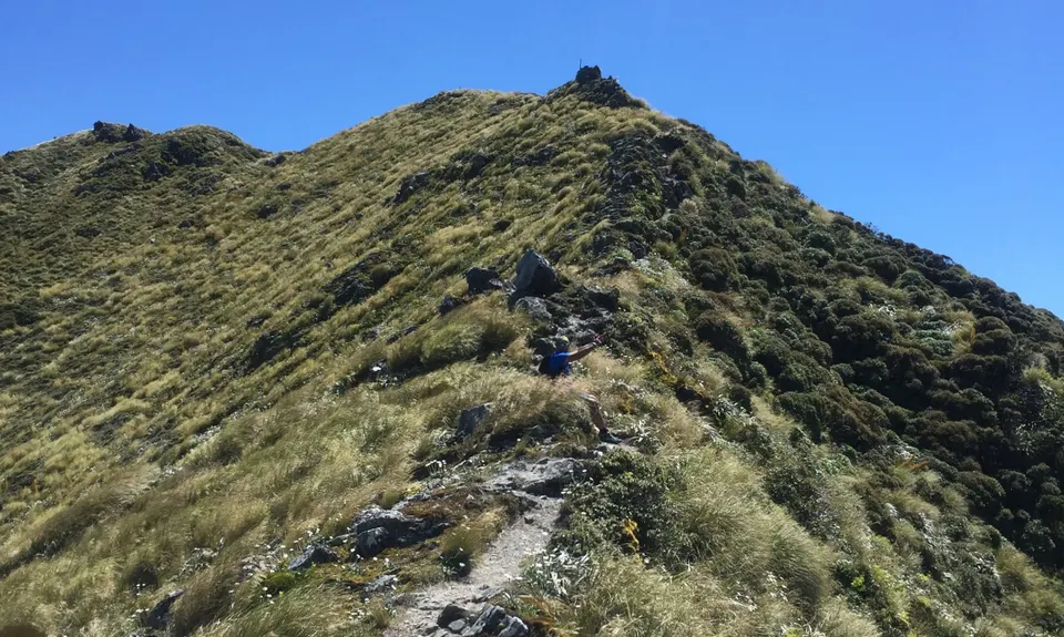 Jumbo - Holdsworth Circuit, Wellington