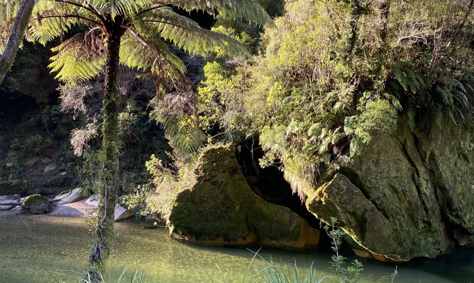 The Paparoa, West Coast