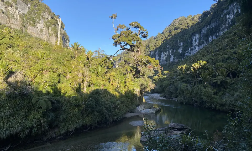 The Paparoa, West Coast