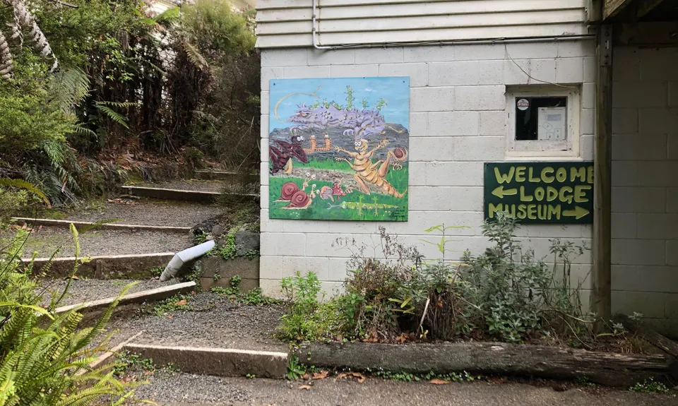 Te Kauri Park Loop, Waikato