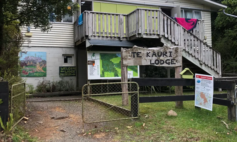 Te Kauri Park Loop, Waikato