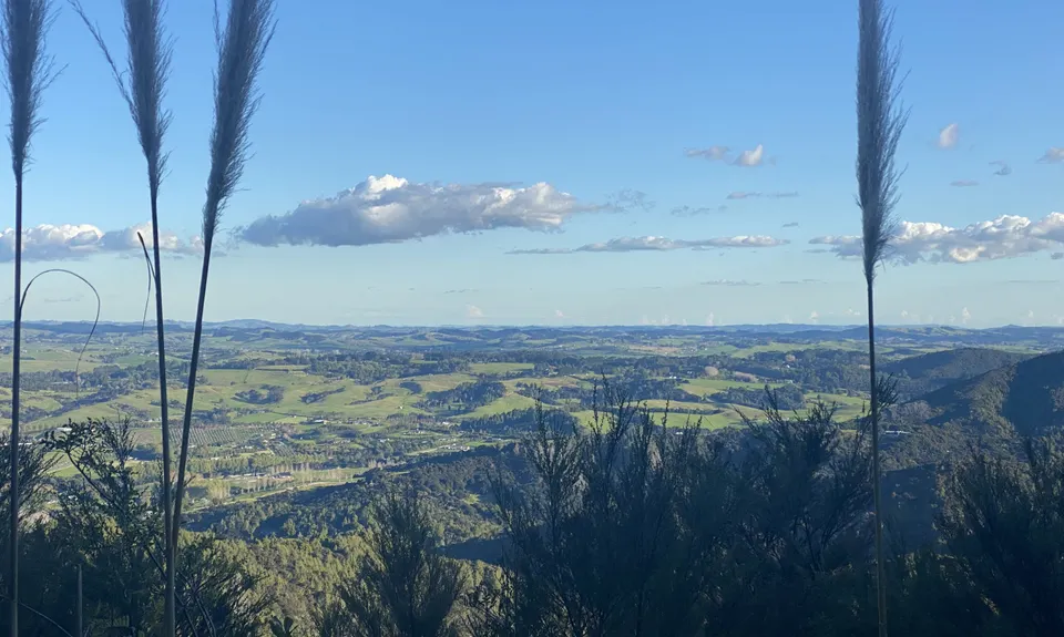 Tanekaha Trails, Northland