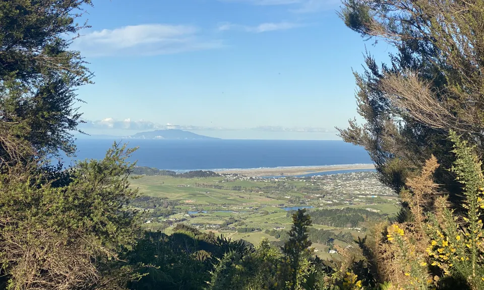 Tanekaha Trails, Northland