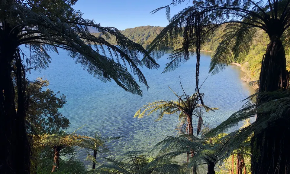 Tarawera Trail Route Recce, Bay of Plenty
