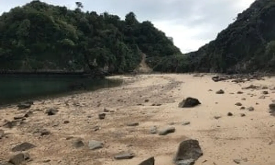 Taupo Pa, Tasman