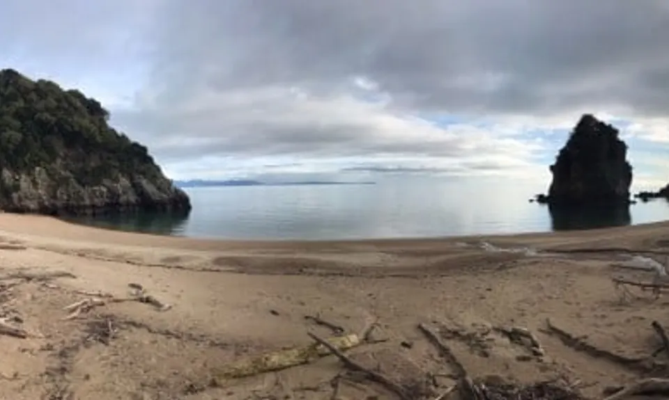 Taupo Pa, Tasman