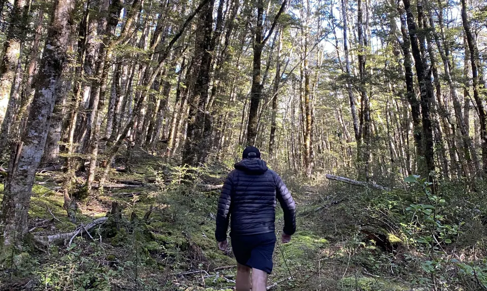 Rolleston Pack Track, Canterbury