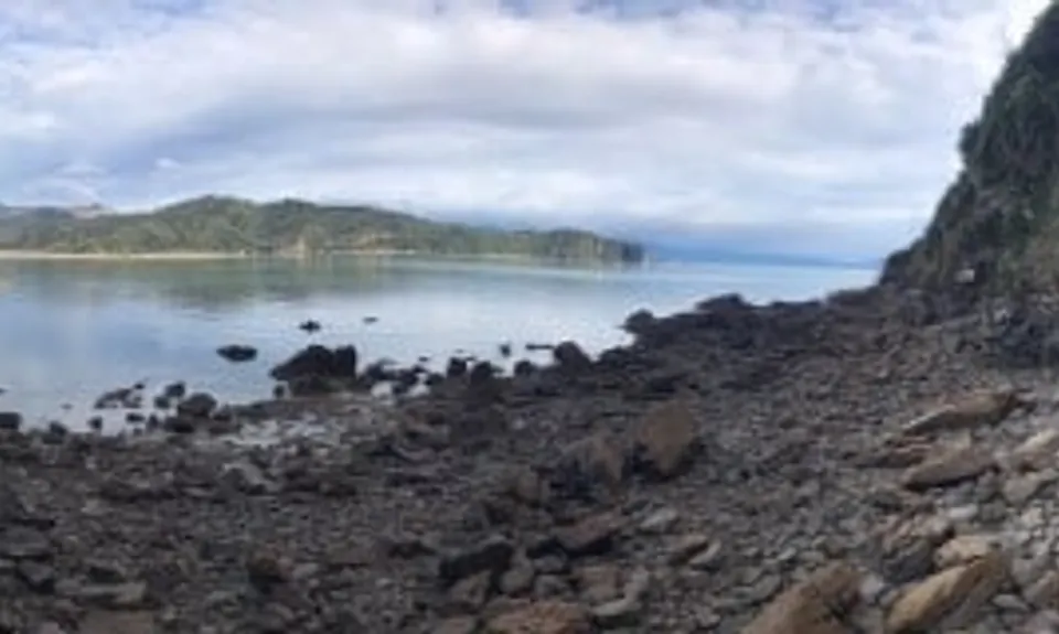 Taupo Pa, Tasman