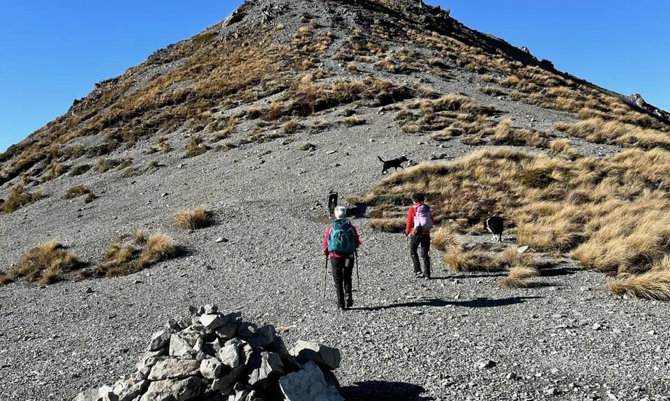 Camp Saddle to Lyndon Saddle Loop, Canterbury