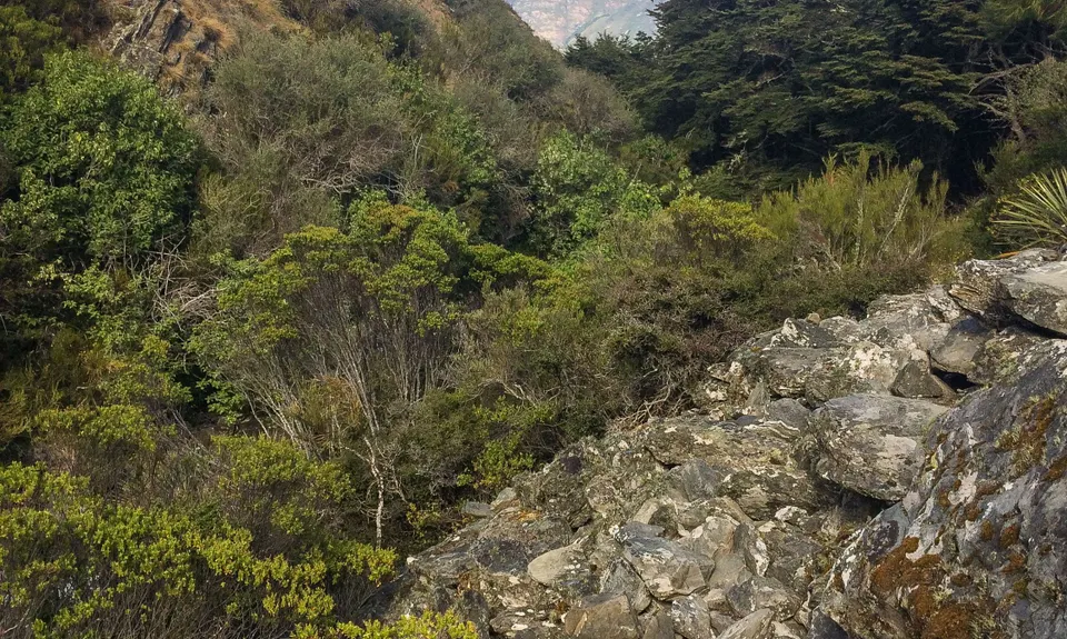 Remarkables and Wye Creek, Otago