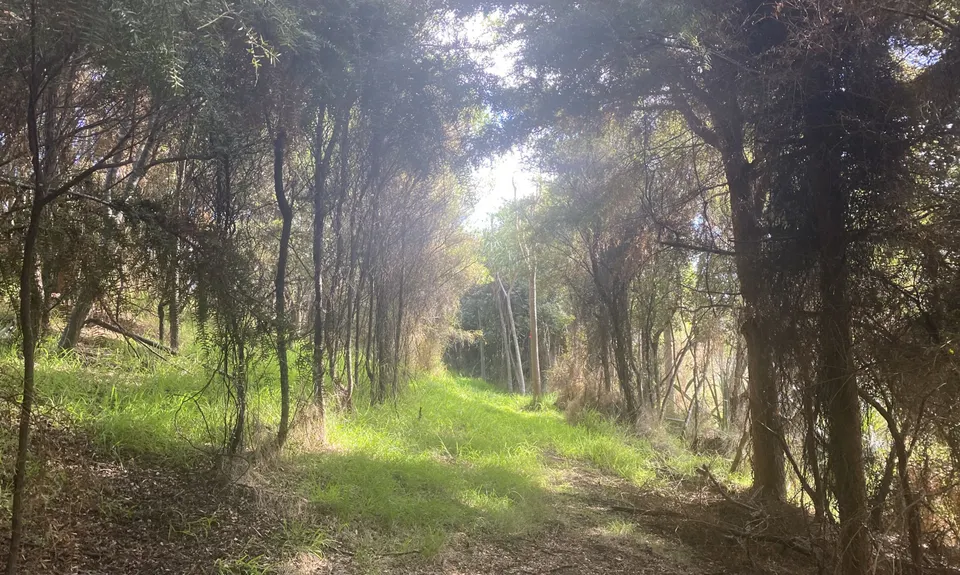 Sweetwater Lakes, Northland