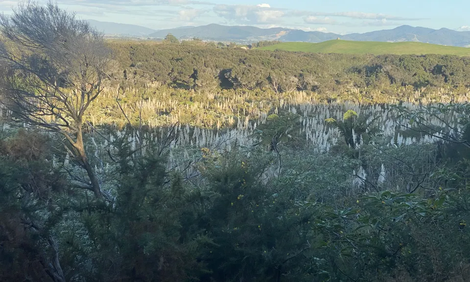 Sweetwater Lakes, Northland