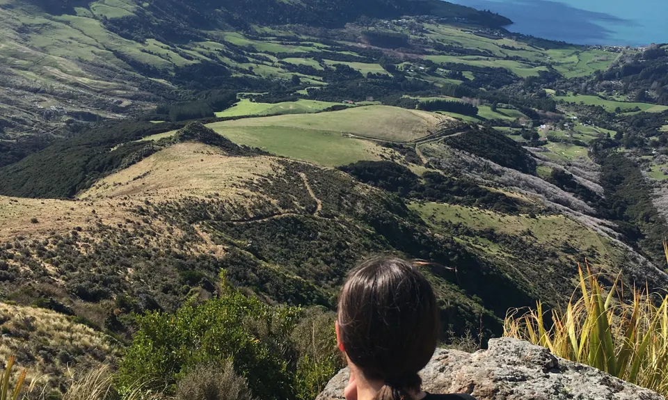 Saddle Up, Canterbury