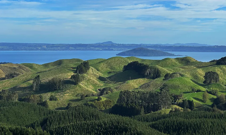 RTRC Natives Loop, Bay of Plenty