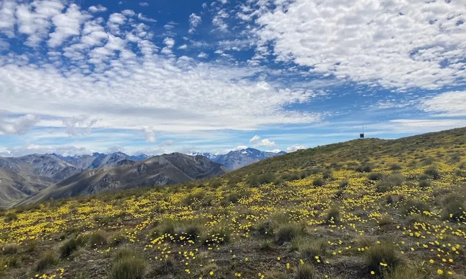 Lindis Loop, Otago