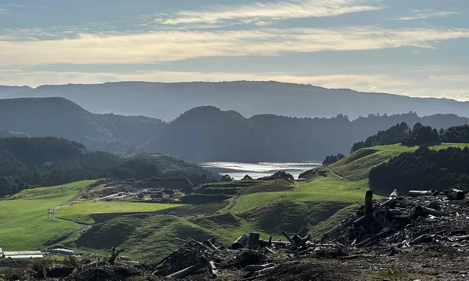 RTRC Natives Loop, Bay of Plenty
