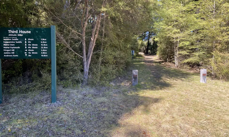 Dun Mountain Loop, Nelson