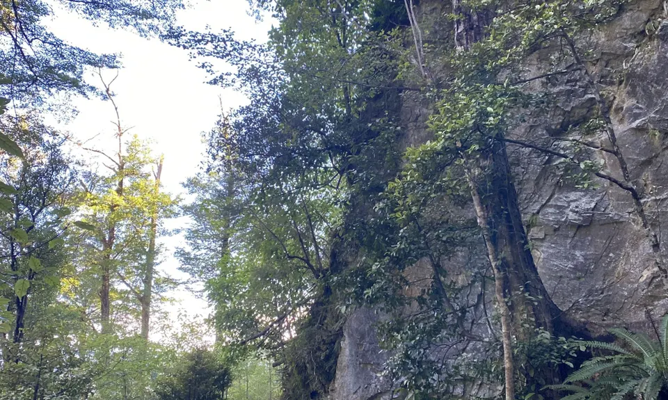 Dun Mountain Loop, Nelson