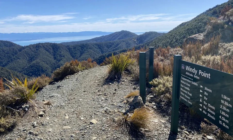 Dun Mountain Loop, Nelson