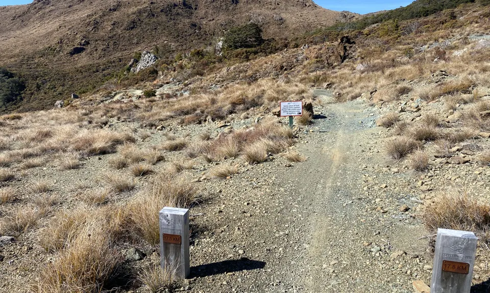 Dun Mountain Loop, Nelson