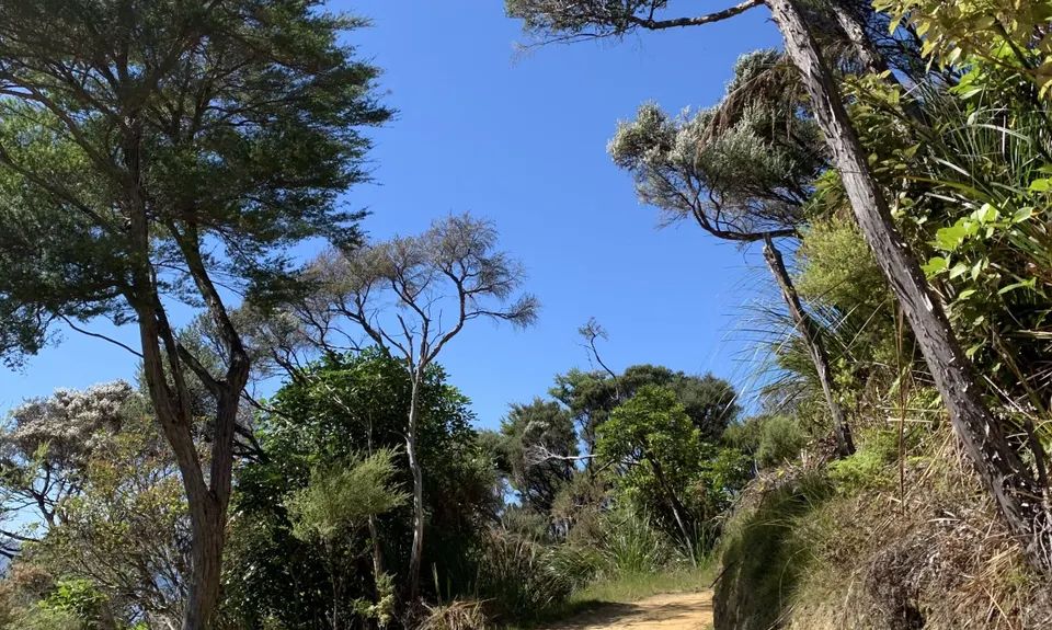 Queen Charlotte Ultramarathon, Marlborough