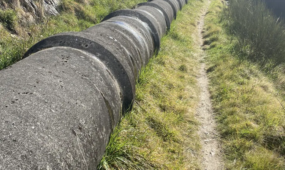 Dun Mountain Loop, Nelson