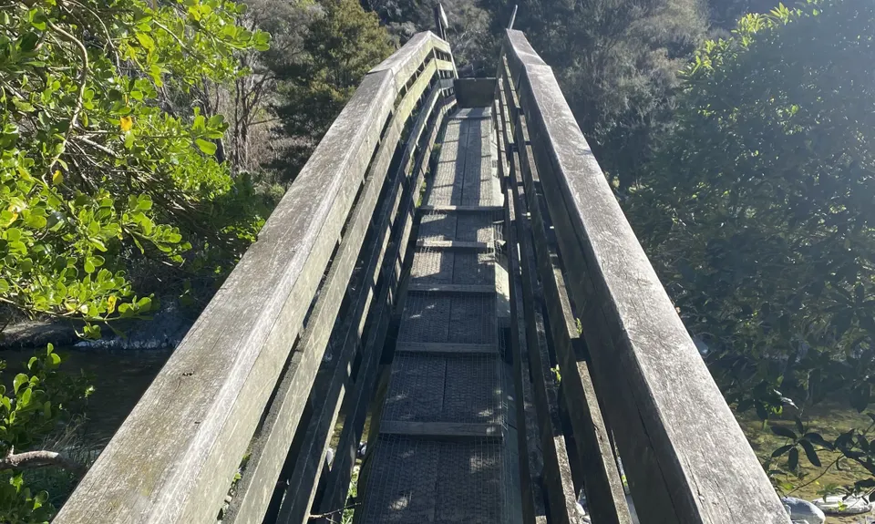 Dun Mountain Loop, Nelson