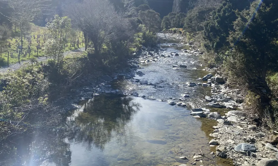 Dun Mountain Loop, Nelson
