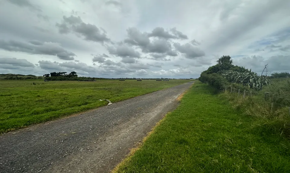 Puhinui - not just for Horses, Auckland