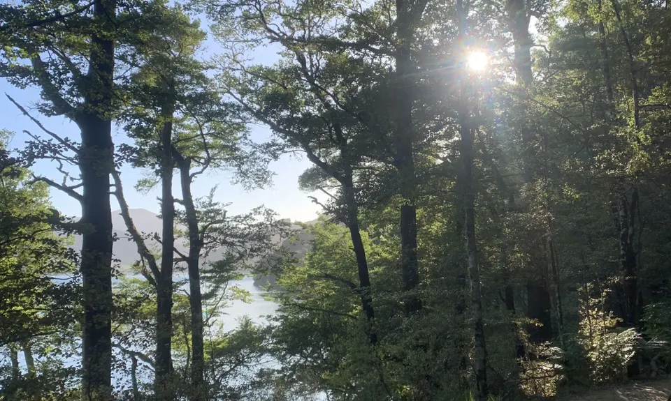 Queen Charlotte Ultramarathon, Marlborough