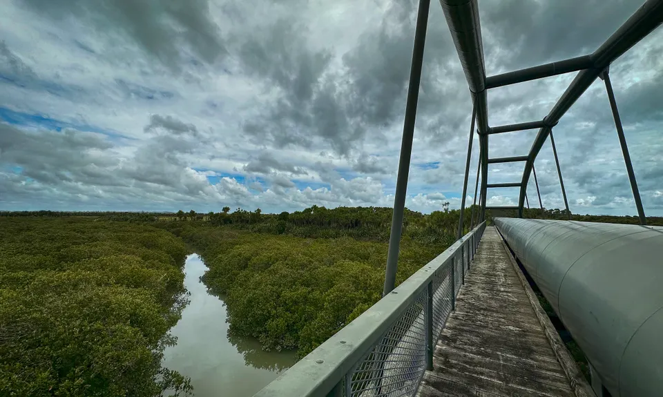 Puhinui - not just for Horses, Auckland