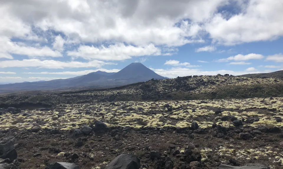 Whakapapaiti Loop, Manawatu - Wanganui