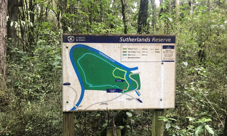 Sutherland's Puriri Bush, Manawatu - Wanganui