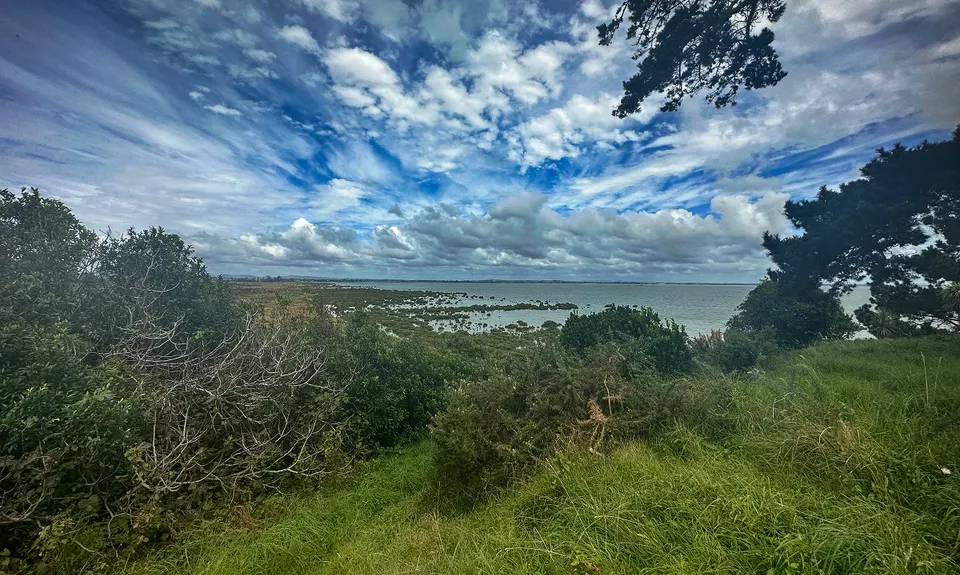 Puhinui - not just for Horses, Auckland