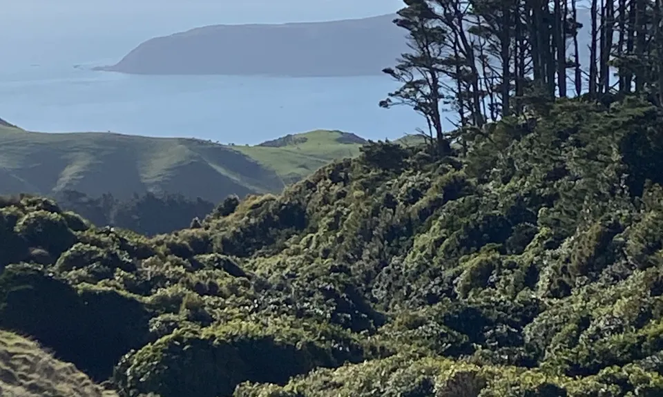 Colonial Knob - All the Hills, Wellington