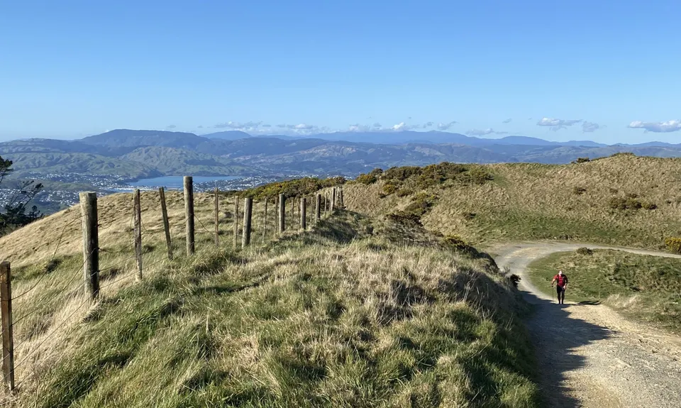 Colonial Knob - All the Hills, Wellington