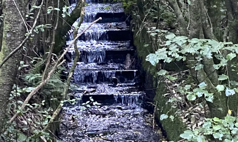Colonial Knob - All the Hills, Wellington