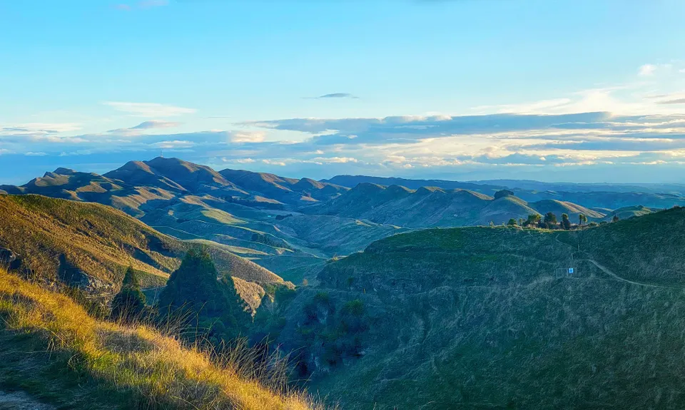 You say Tomato, I say Te Mata, Hawkes Bay