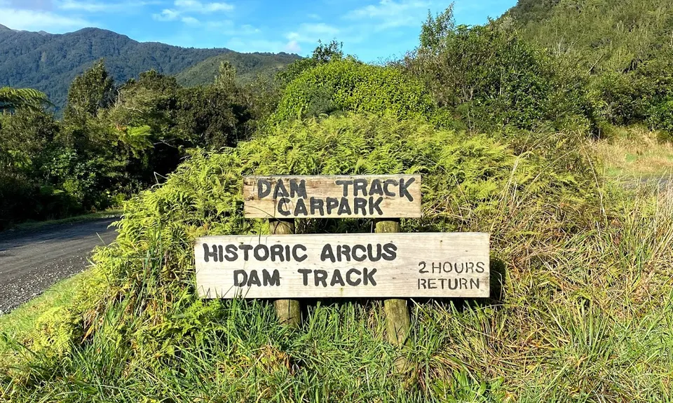 Arcus Dam Track, Wellington