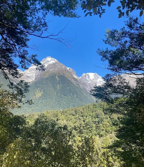 The Hollyford: Out and Back to Alabaster, Southland