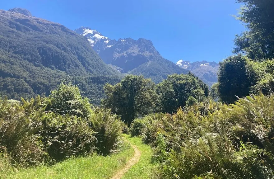 The Hollyford: Out and Back to Alabaster, Southland